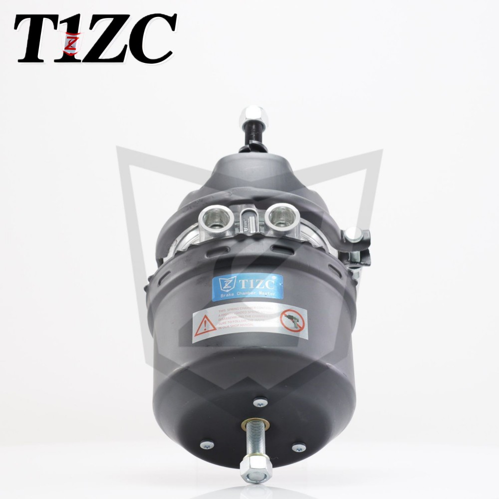 Краткий выпуск DP Disc Trork Camber